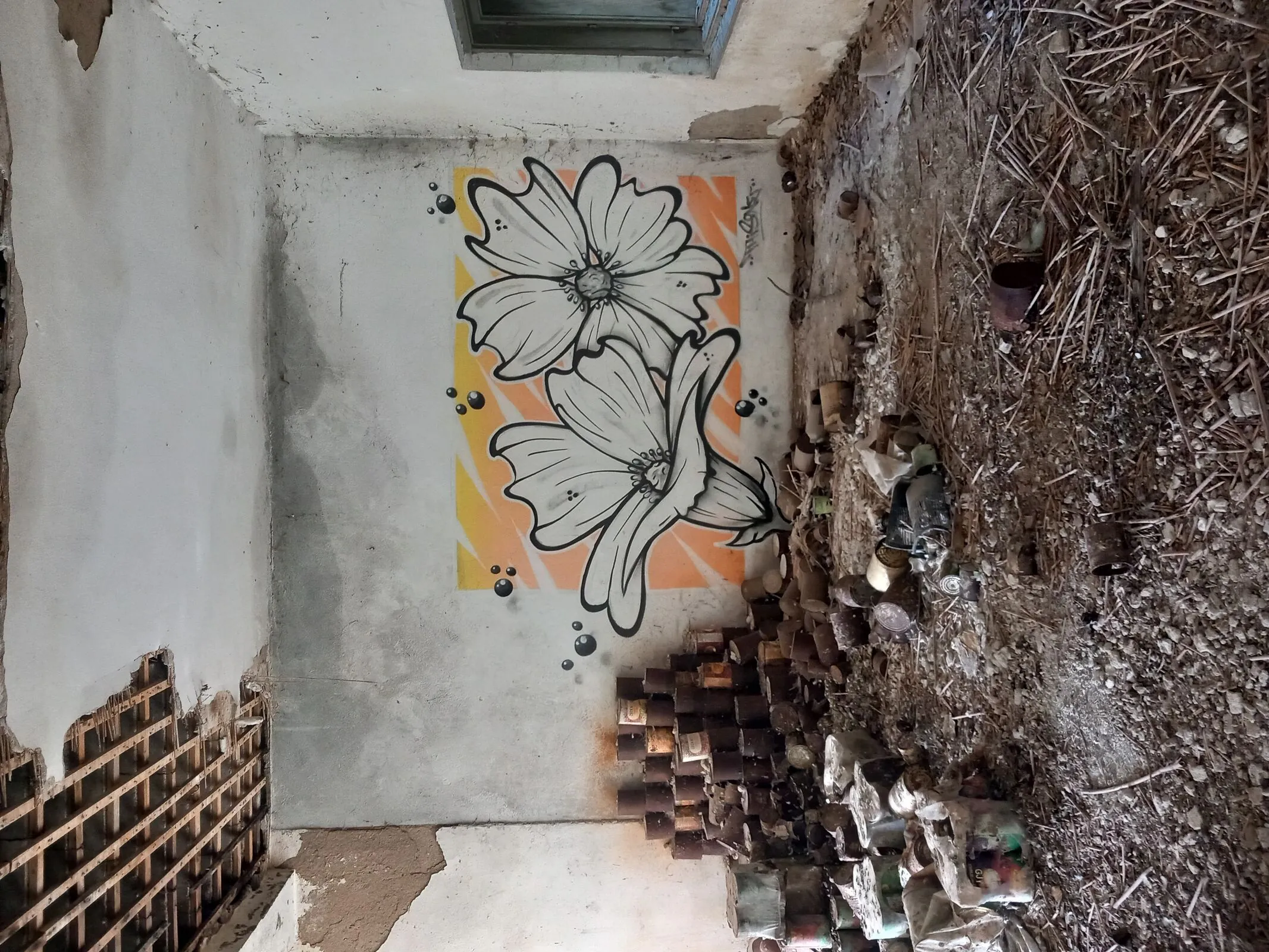 FFC0732C B483 4E51 B63E 4B54A267D03A optimized 1000