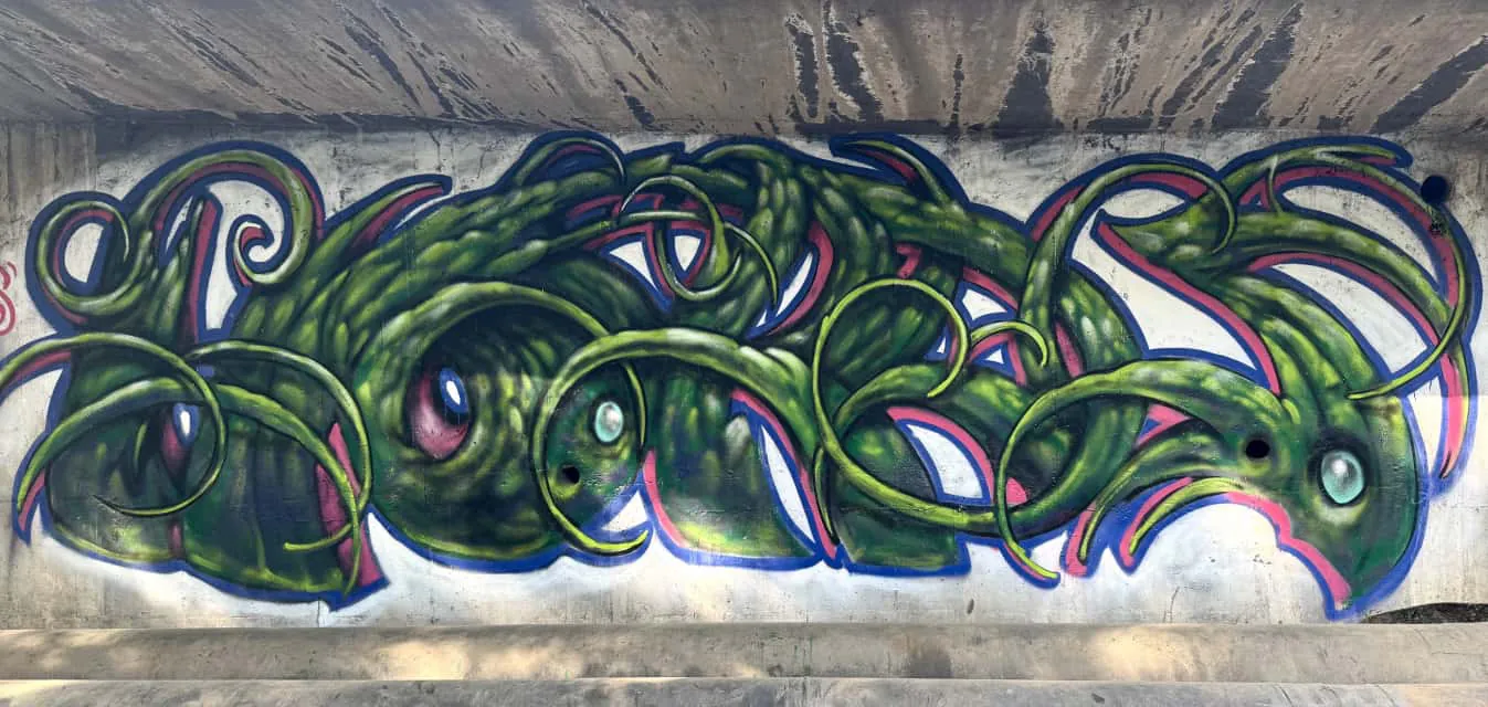IMG 2351 compressed 1