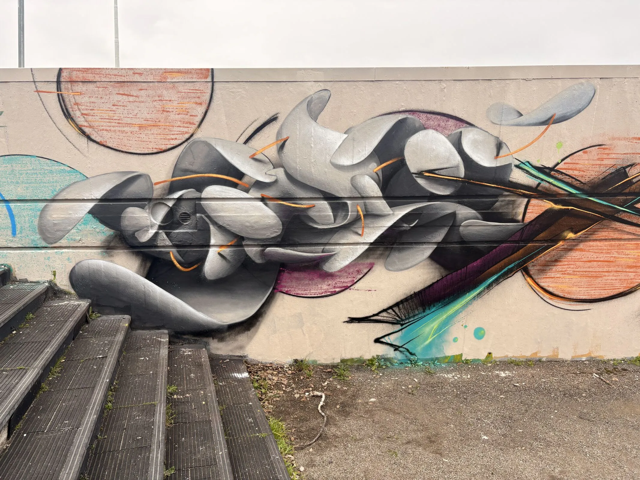 IMG 2979 optimized 1000 1