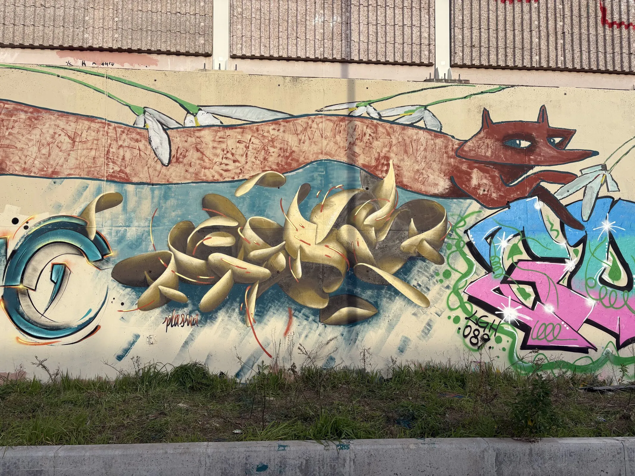 IMG 3046 2 optimized 1000