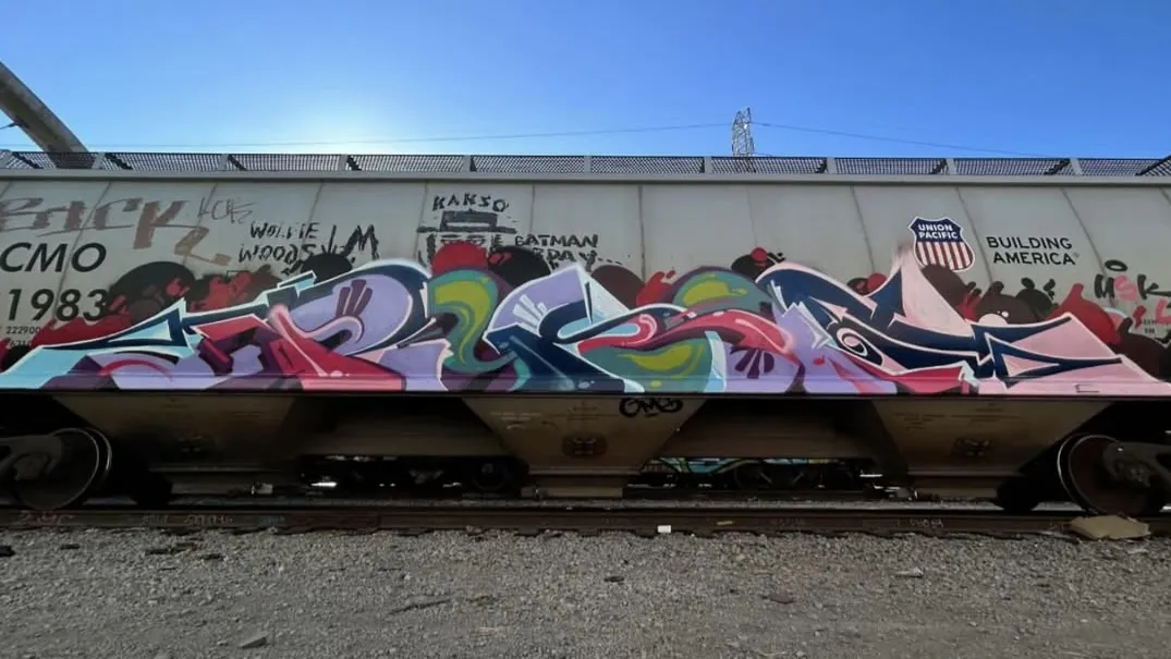 IMG 7136