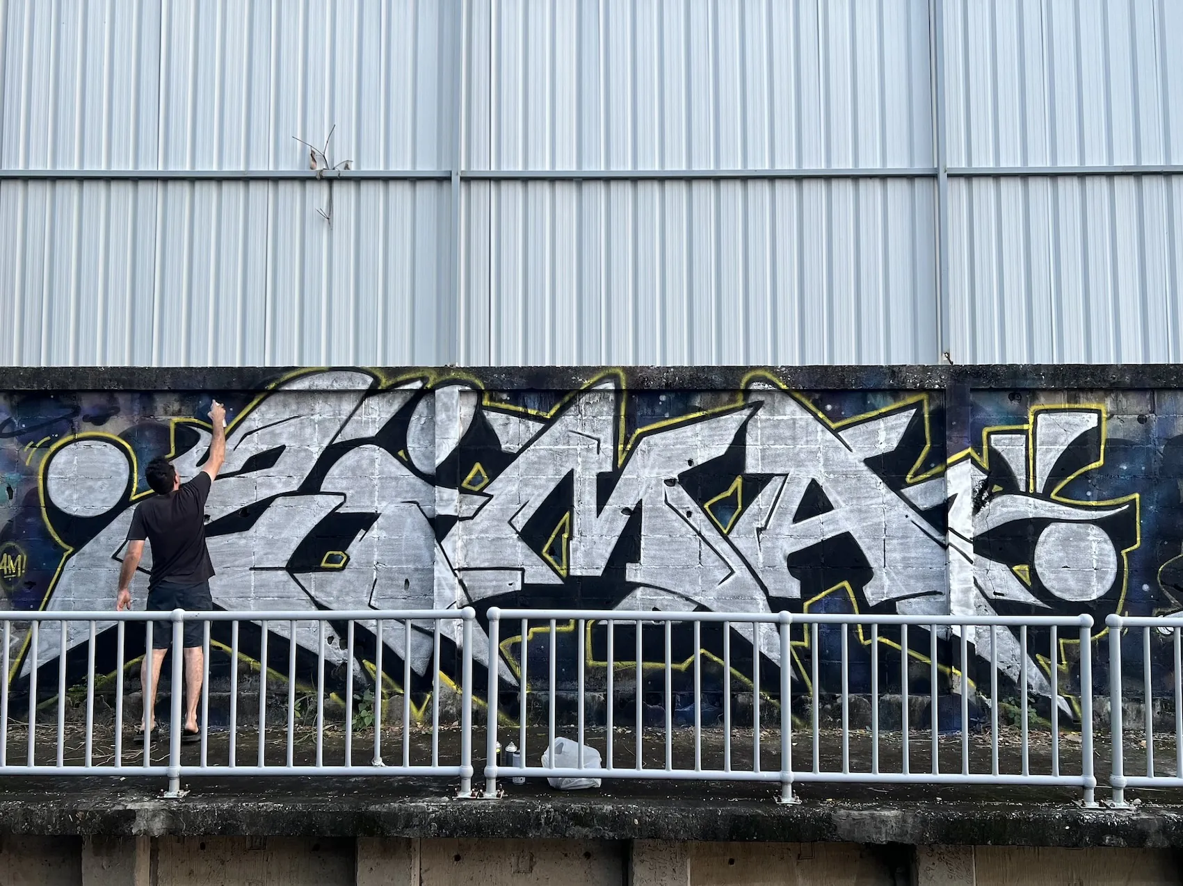 Zima 3 - Meeting of Styles: International Street Art & Graffiti IMG 7879