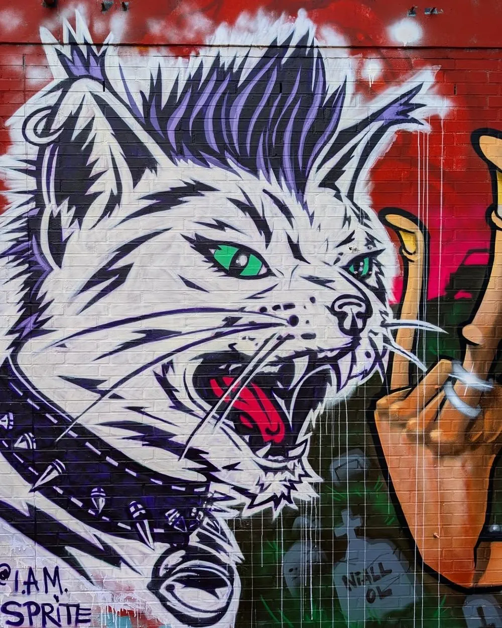Sprite punk cat