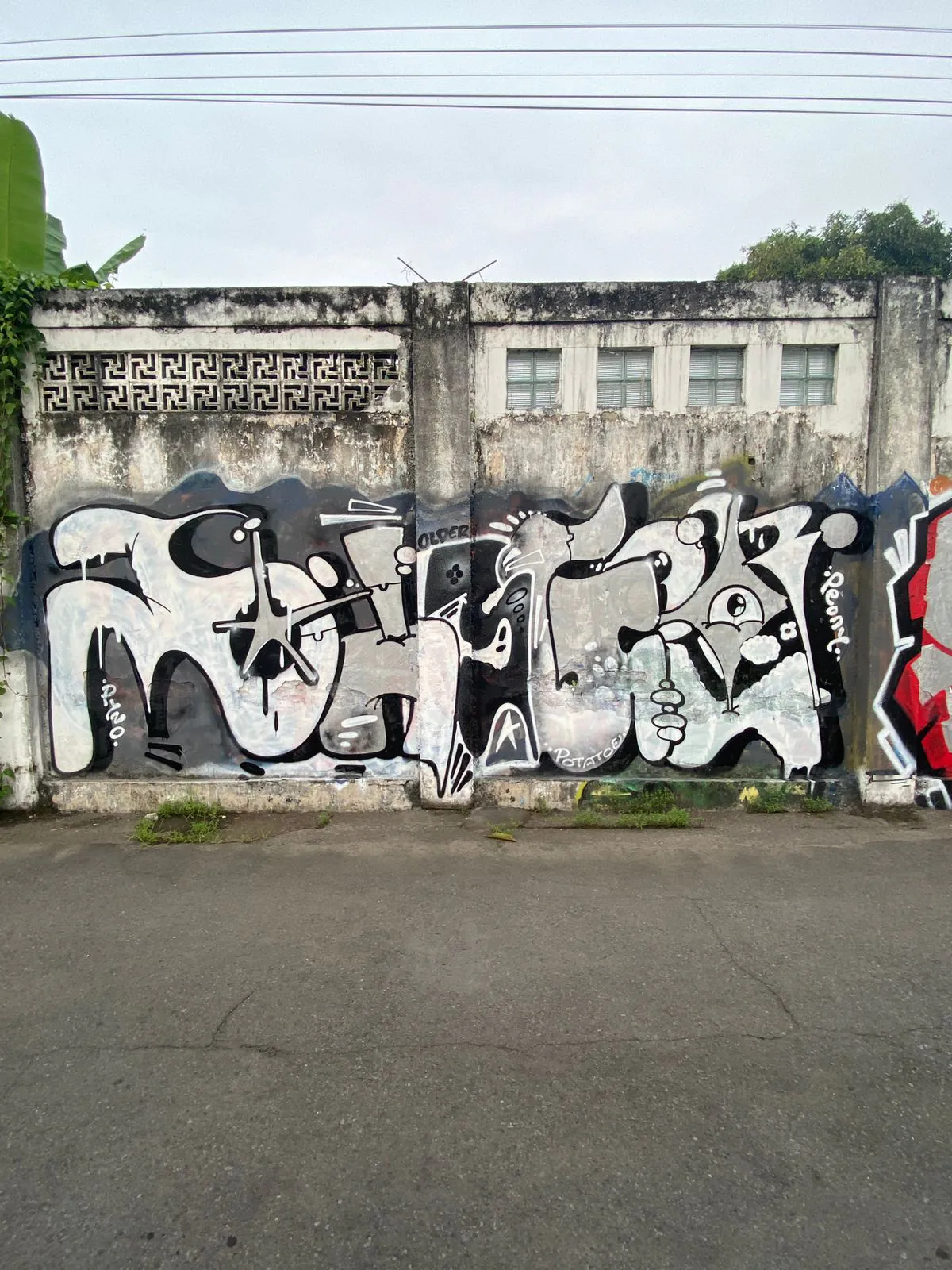 WhatsApp Image 2025 02 03 at 00.11.13 5265d54e