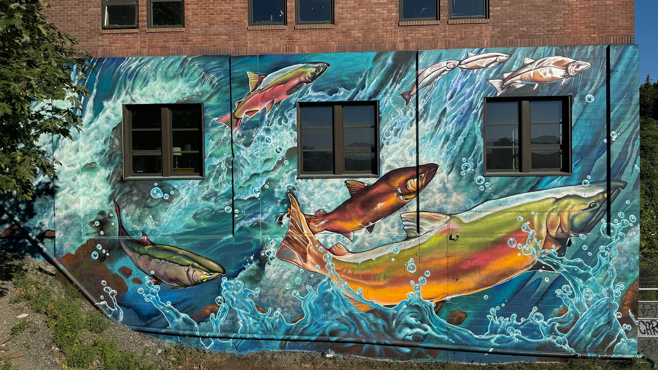 Miss Teal 2 - Meeting of Styles: International Street Art & Graffiti bellinghamleftside