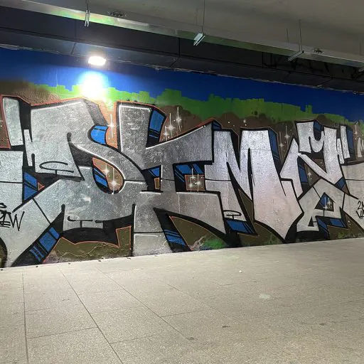 dimzmsk2024 - Meeting of Styles: International Street Art & Graffiti