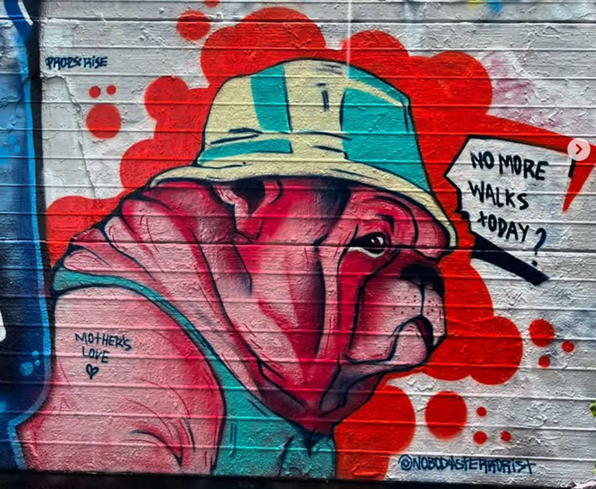 imresizer 1740390913843