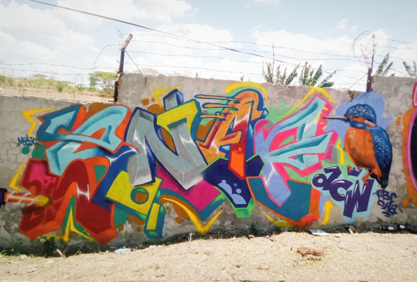 inbound3603928248660498222