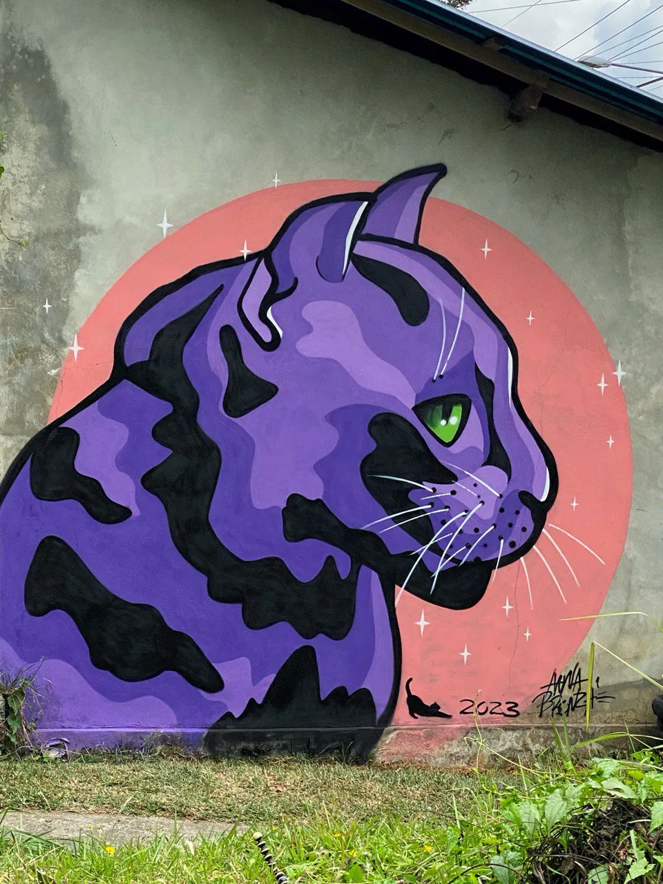 photo 2024 02 29 19.23.10