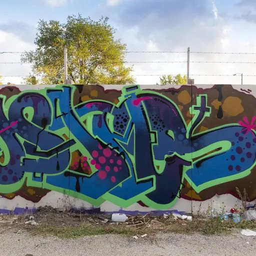 13745015 170761853327378 1920012300 n - Meeting of Styles: International Street Art & Graffiti