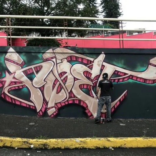 274528641 10228102089607711 2042791303234026151 n 3 - Meeting of Styles: International Street Art & Graffiti