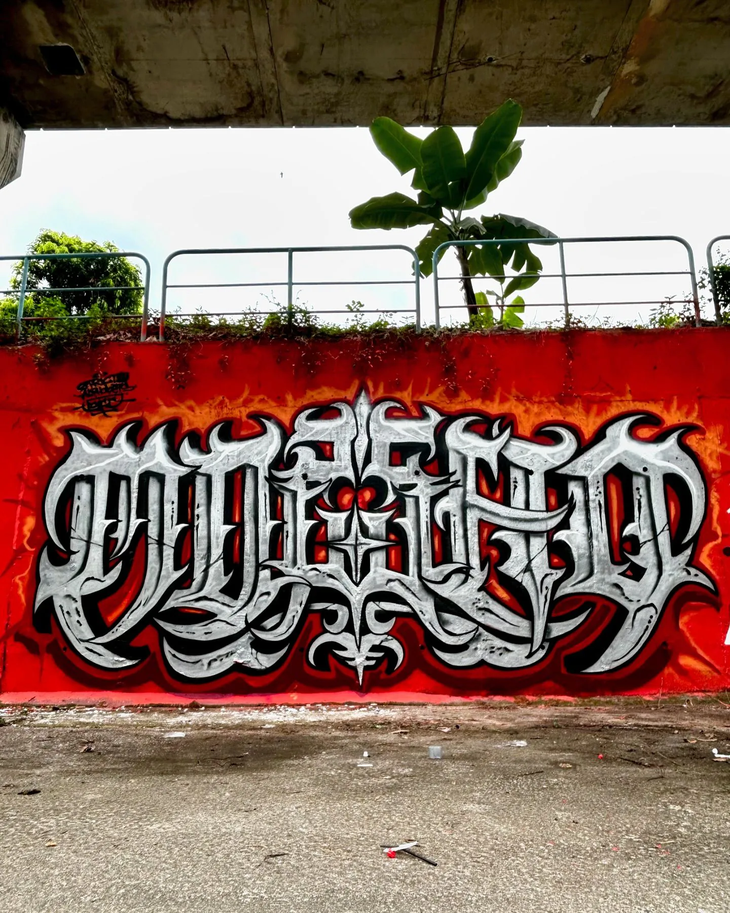 451772585 18439809970025237 7810461170799125278 n