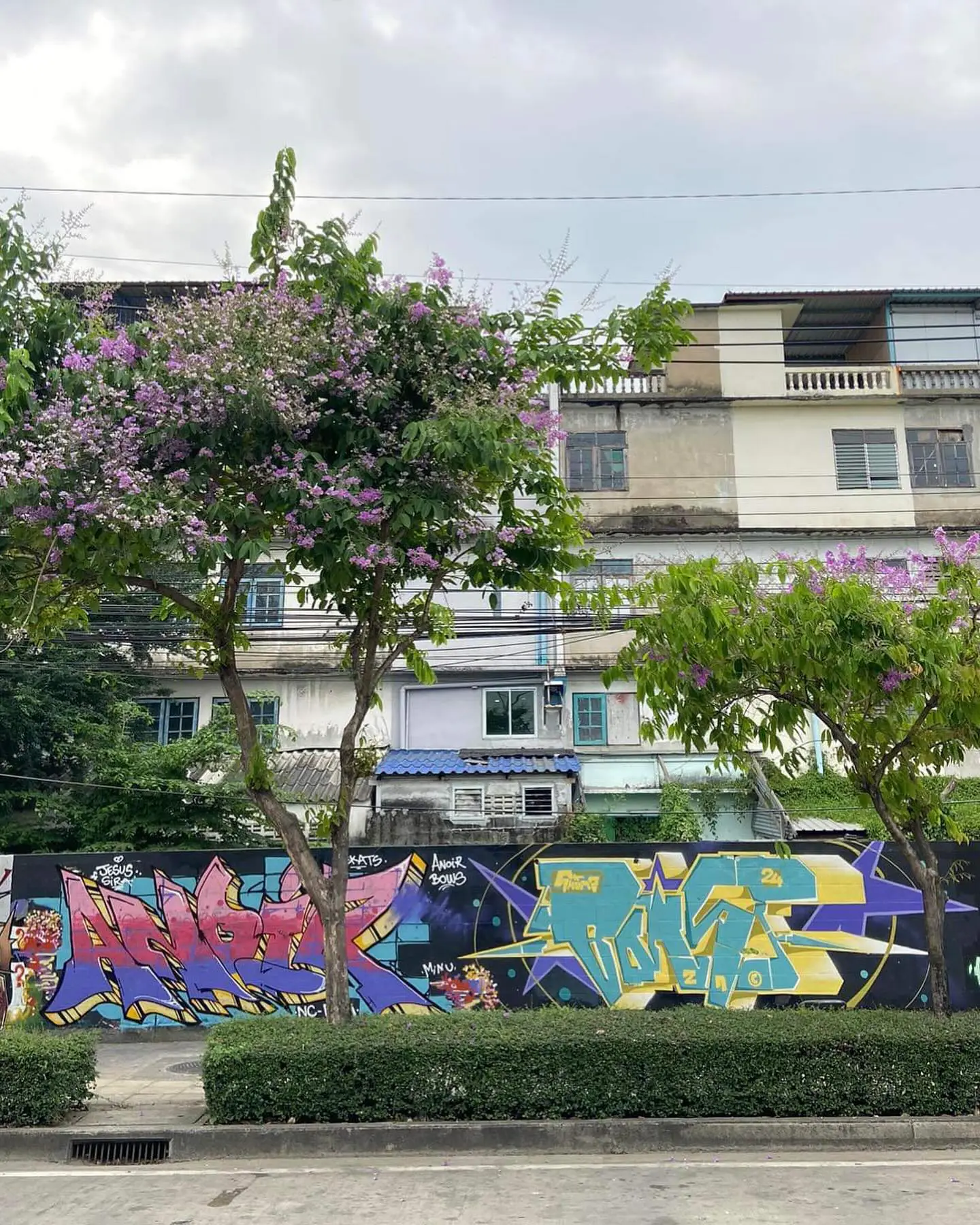 470053951 18473606035050126 1772050040597768403 n