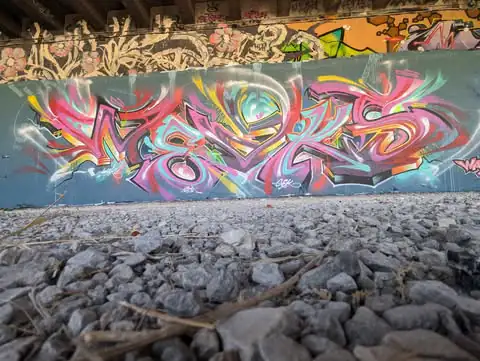 483532157 1655578161765088 8177310133988772922 n666666666666