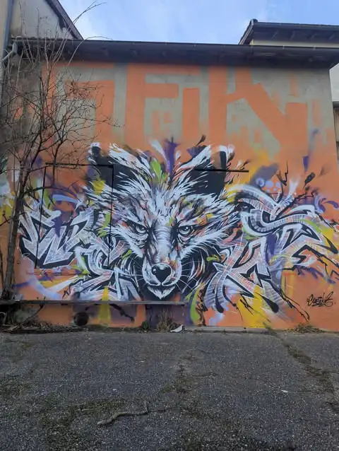 484500702 1704172707202023 9113932970576447038 n