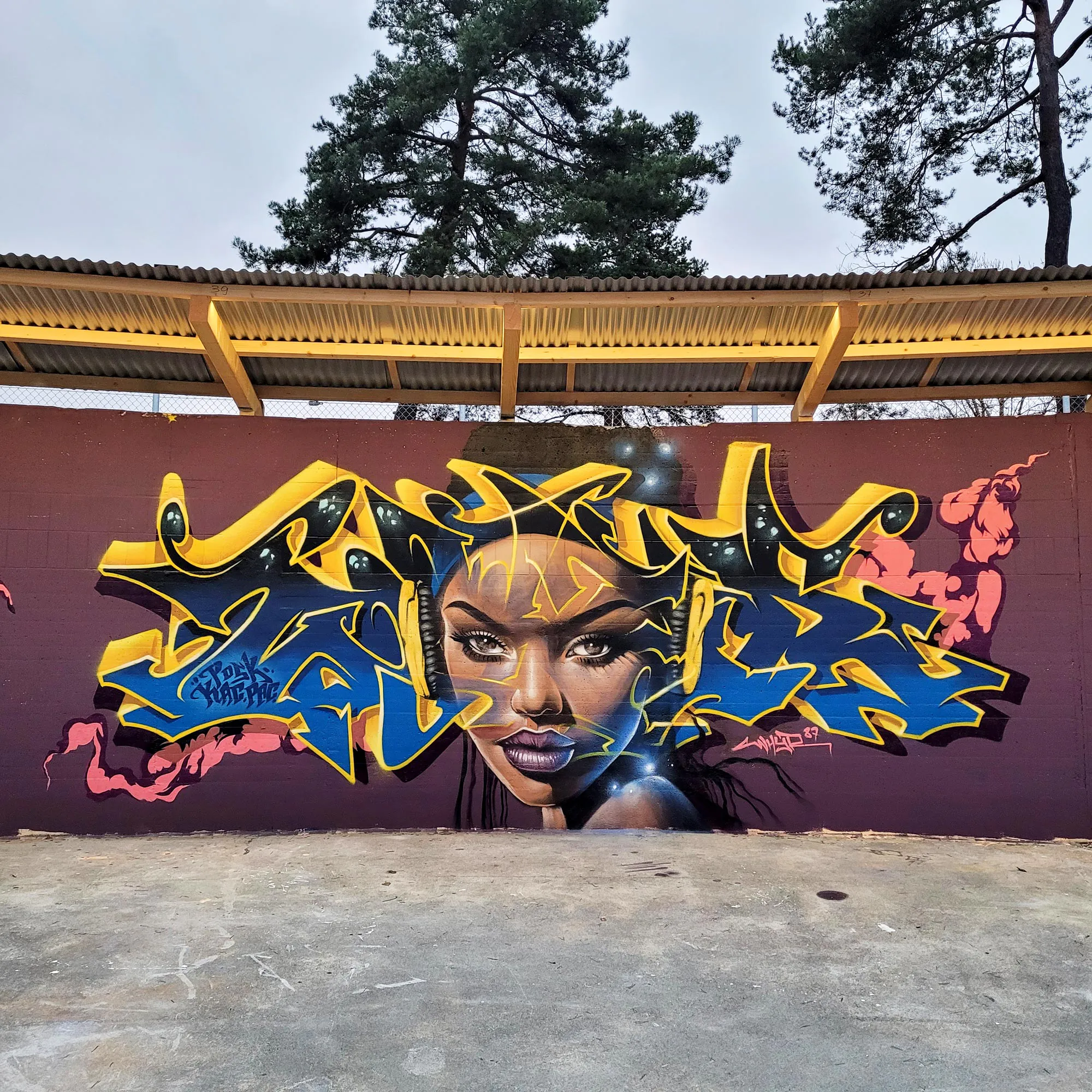 Whyre87 2 - Meeting of Styles: International Street Art & Graffiti DosenDealerWhyreV2 Decembre2024 web