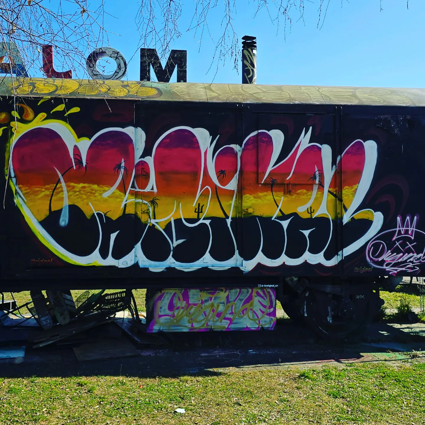 IMG 20250310 115110 231