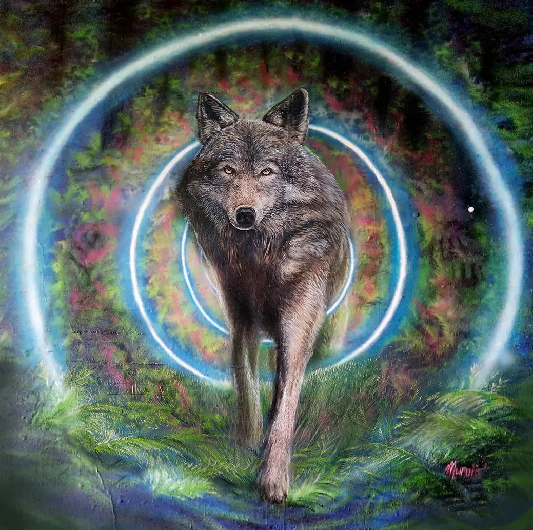 M 2 - Meeting of Styles: International Street Art & Graffiti Wolf Germany