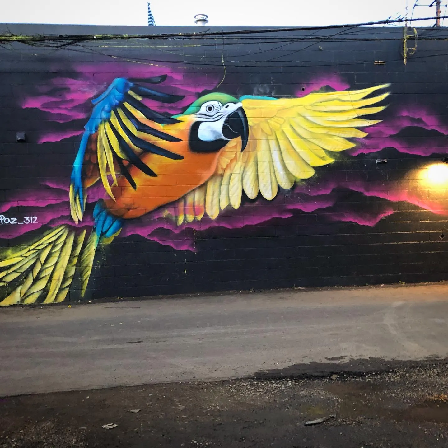 DDAF6485 2E53 4E10 815A 27A37BD21417