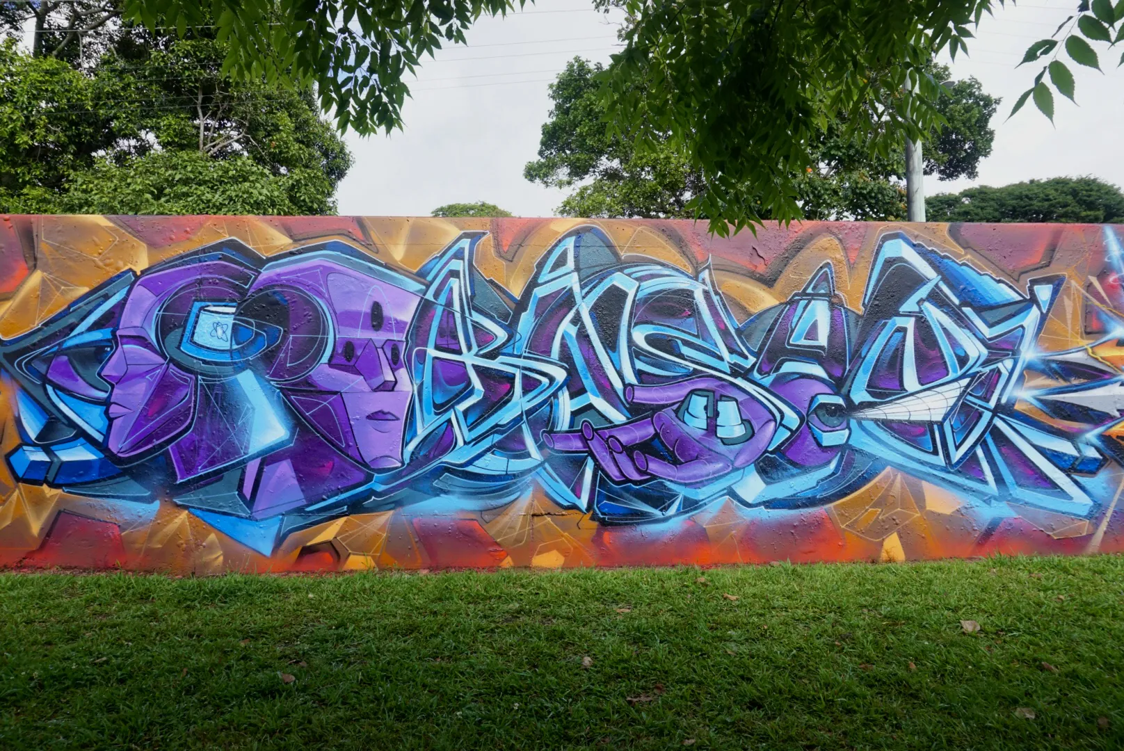 DSC00976