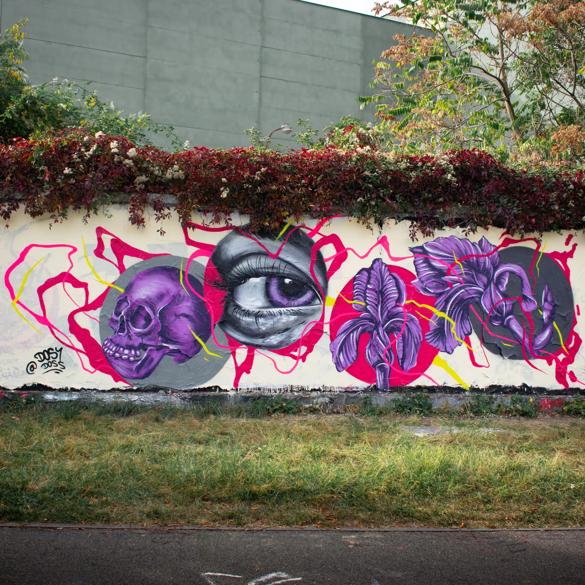 Dosy Doss 2 - Meeting of Styles: International Street Art & Graffiti DSC 0098 1