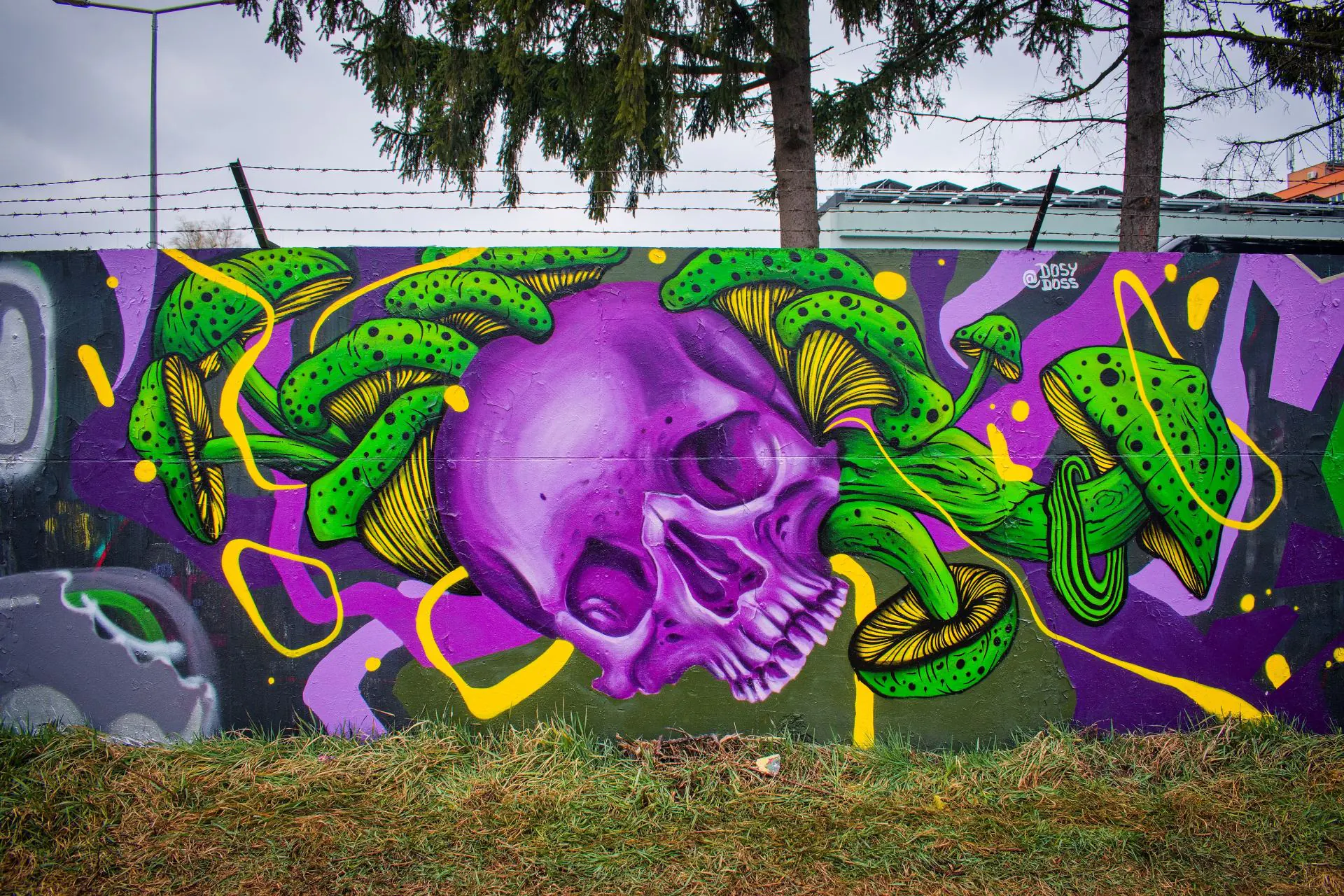 Dosy Doss 4 - Meeting of Styles: International Street Art & Graffiti DSC 0611