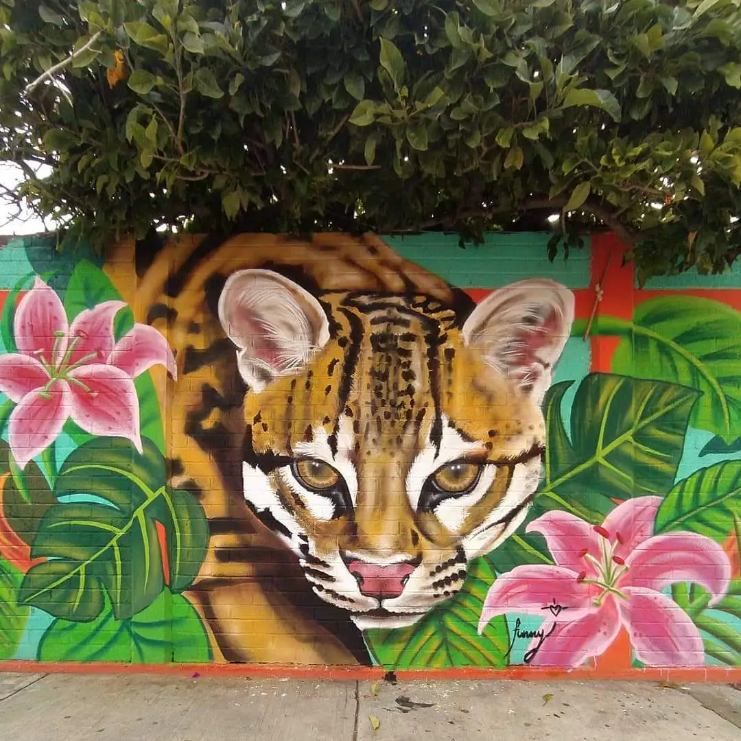 FB IMG 1639493120093 1