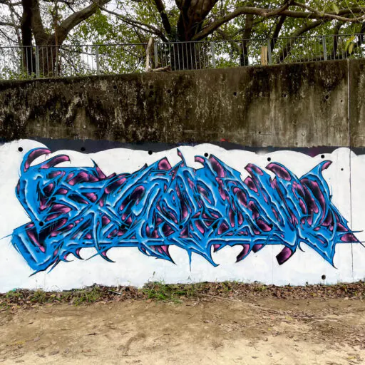 IMG 1664 2 - Meeting of Styles: International Street Art & Graffiti