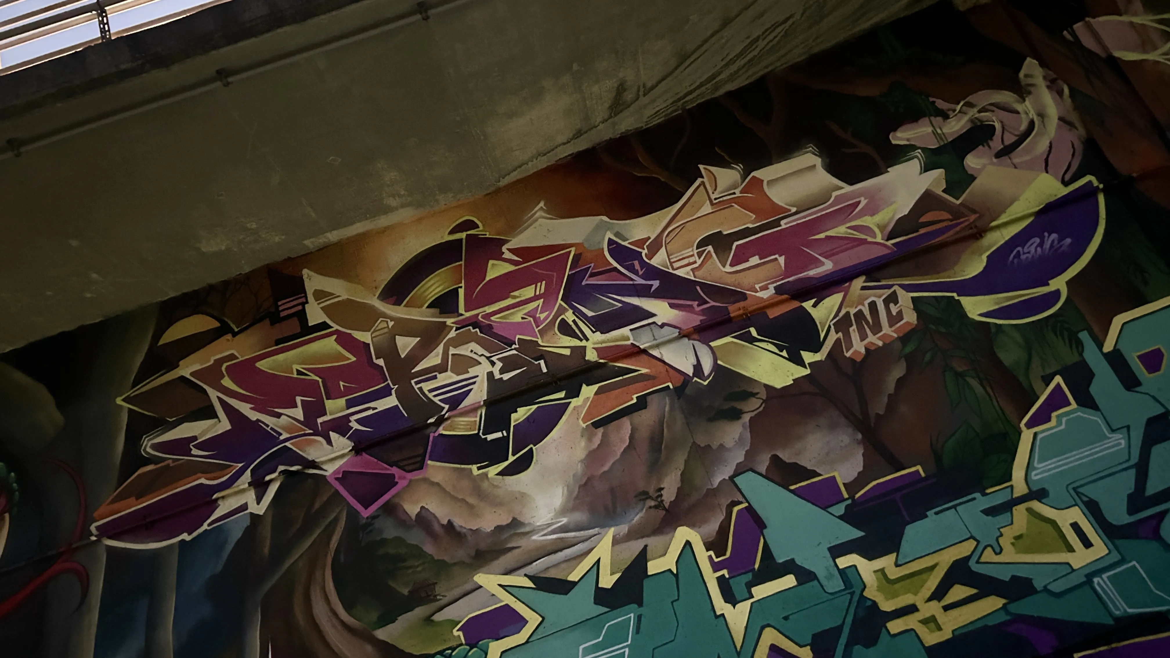 Orangone 2 - Meeting of Styles: International Street Art & Graffiti IMG 4531