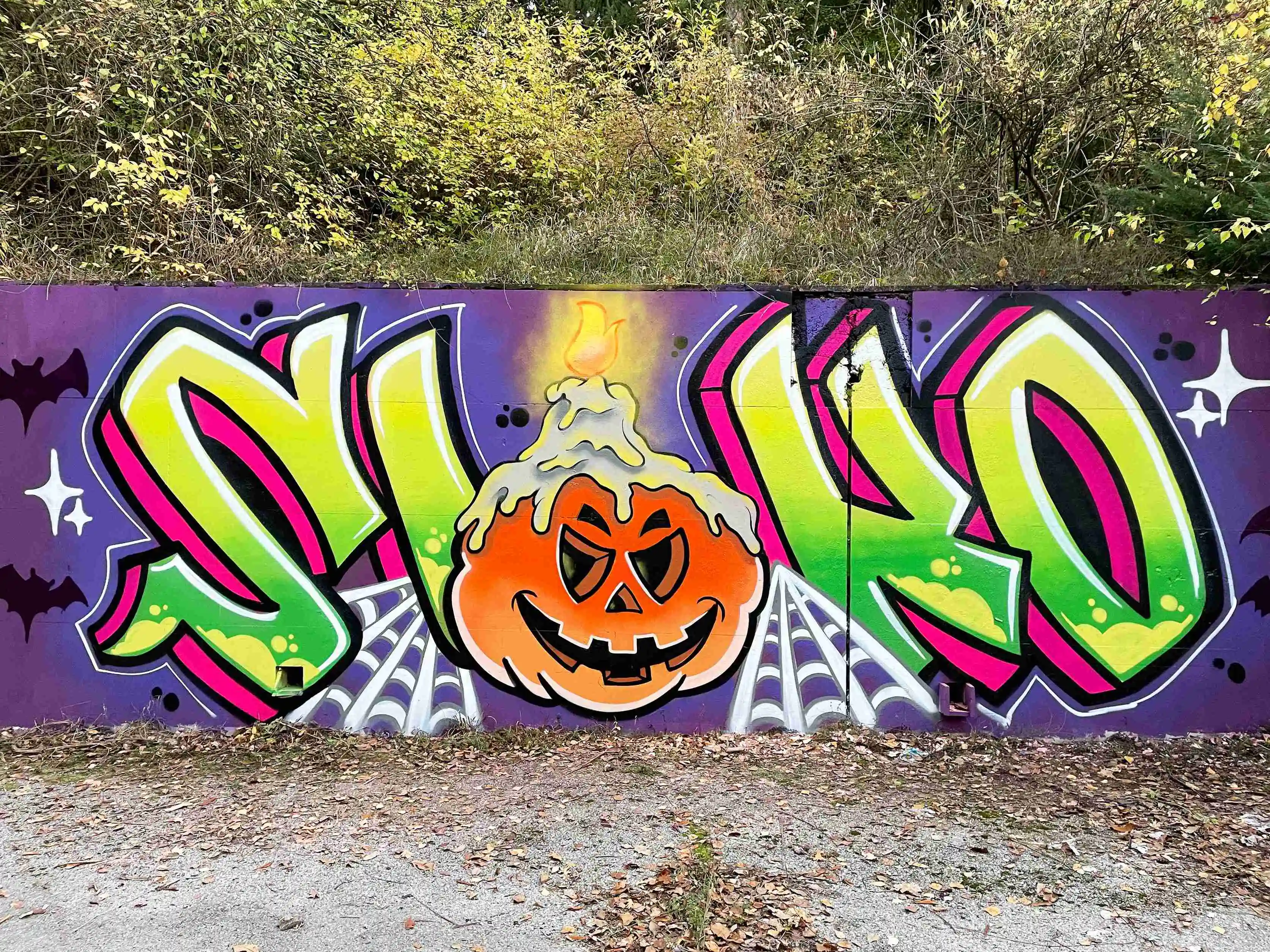 IMG 5739 copy 1 1 11zon