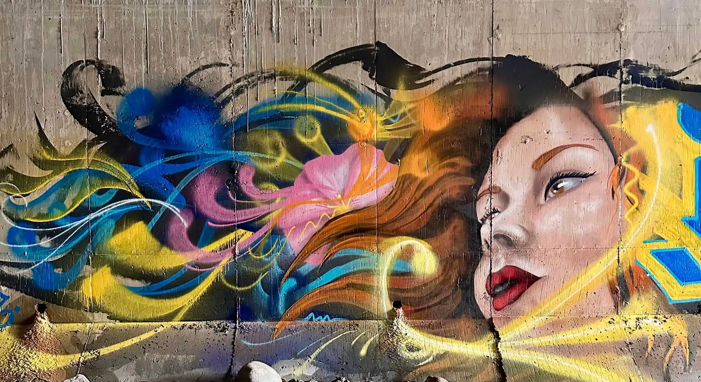 Jetr 3 - Meeting of Styles: International Street Art & Graffiti IMG 8857 transformed