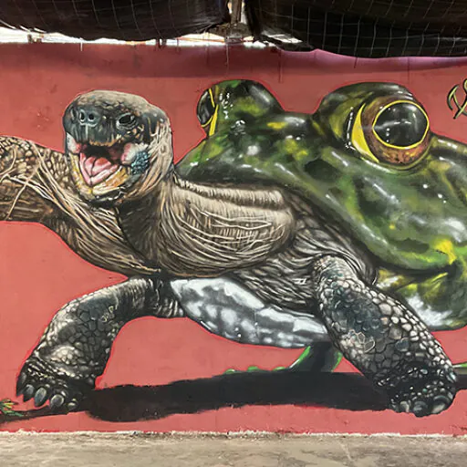 MOSv - Meeting of Styles: International Street Art & Graffiti