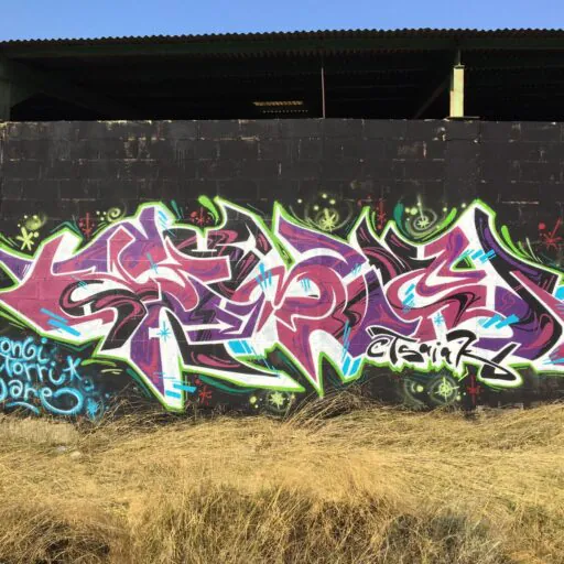 WhatsApp Image 2025 04 07 at 23.18.40 3 - Meeting of Styles: International Street Art & Graffiti