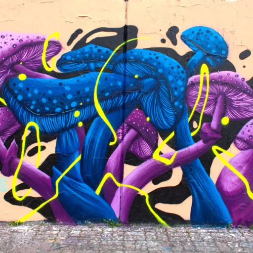 houby s octem 1 - Meeting of Styles: International Street Art & Graffiti