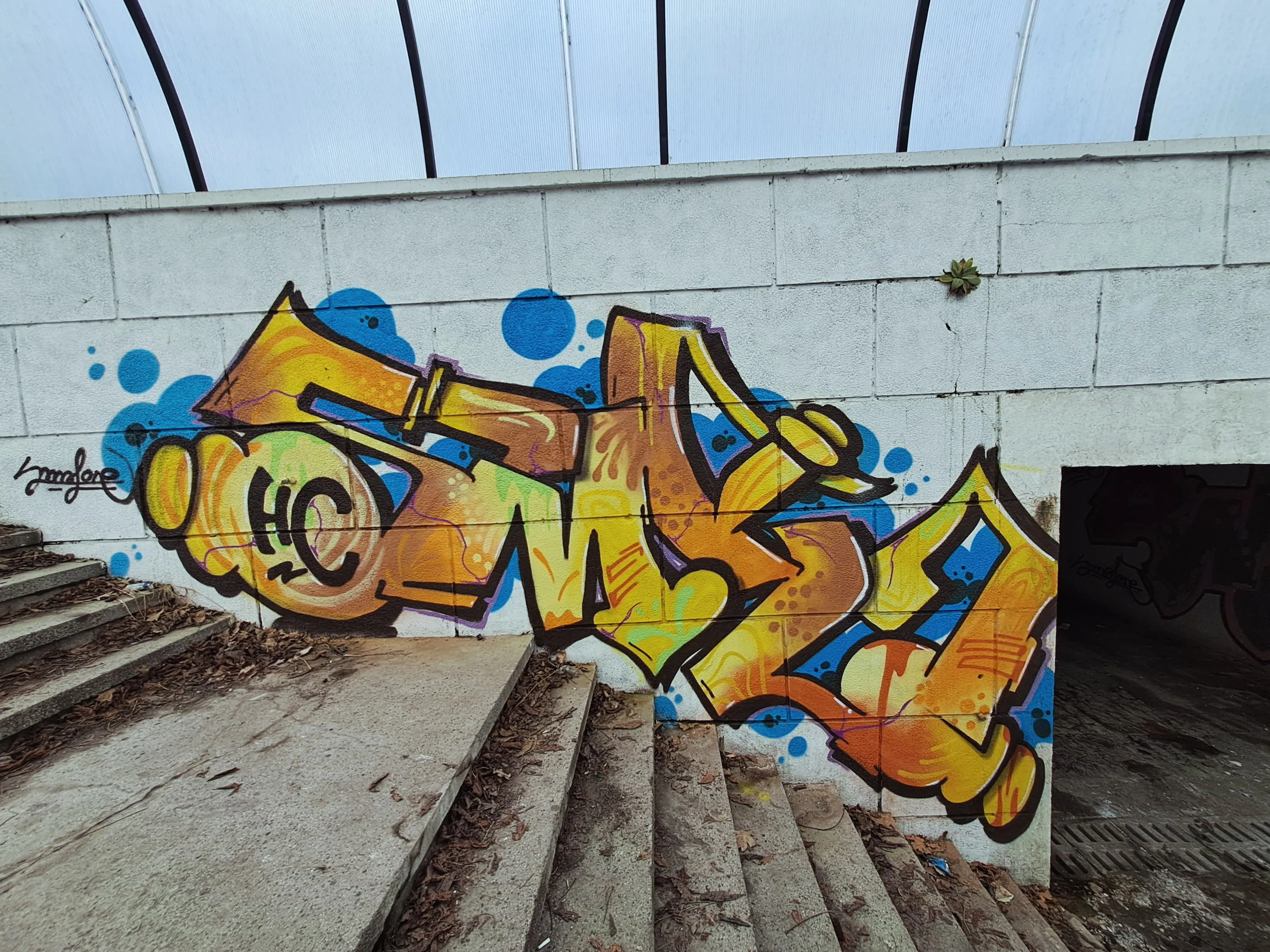 inbound2838970624169318771