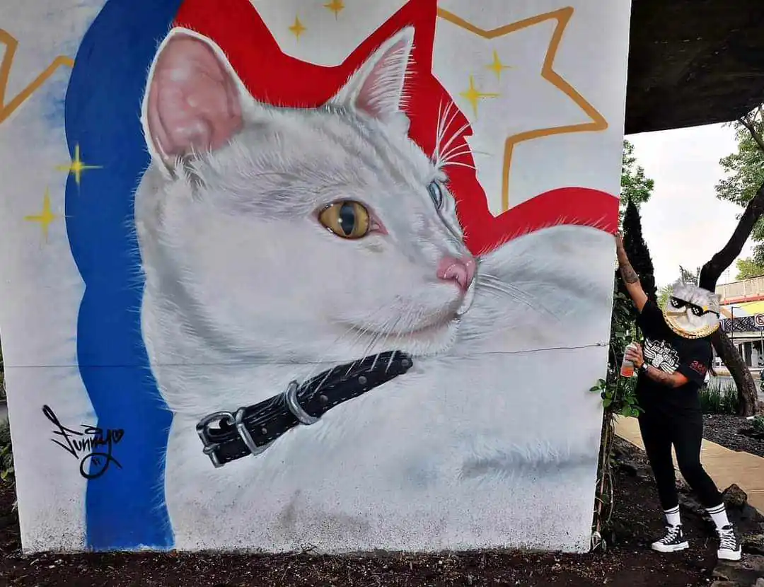 received 500947519490025