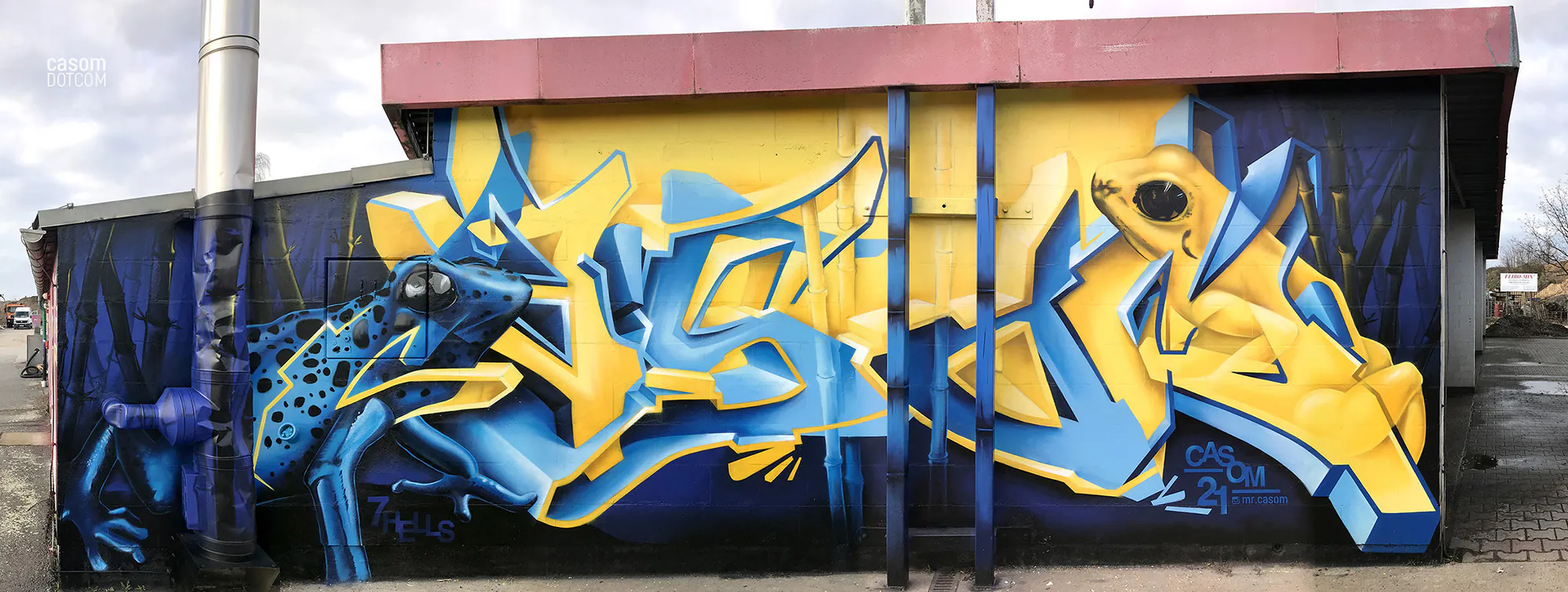 2021 03 07 mos Frogwall