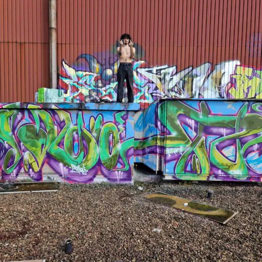 20240623 175417 - Meeting of Styles: International Street Art & Graffiti
