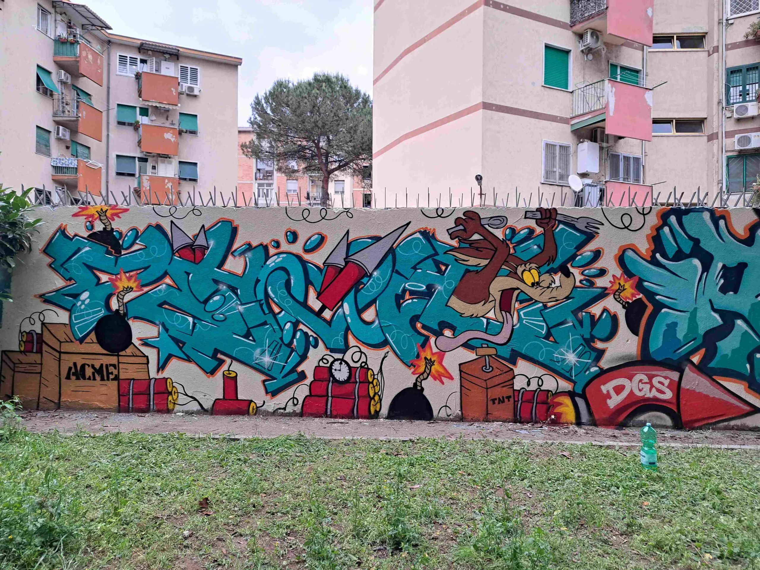 ZHOLE DGS Crew
