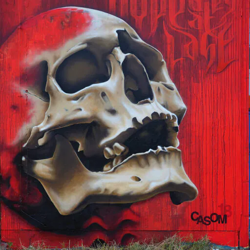 CAS 9500 1 2 - Meeting of Styles: International Street Art & Graffiti