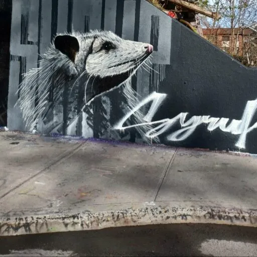 Screenshot 20250524 230659 Gallery - Meeting of Styles: International Street Art & Graffiti