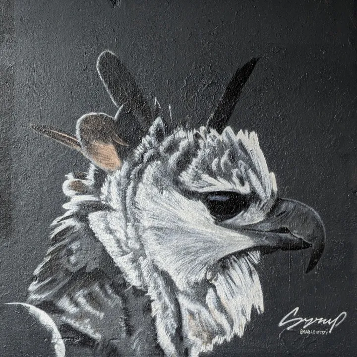 Screenshot 20250524 230752 Gallery