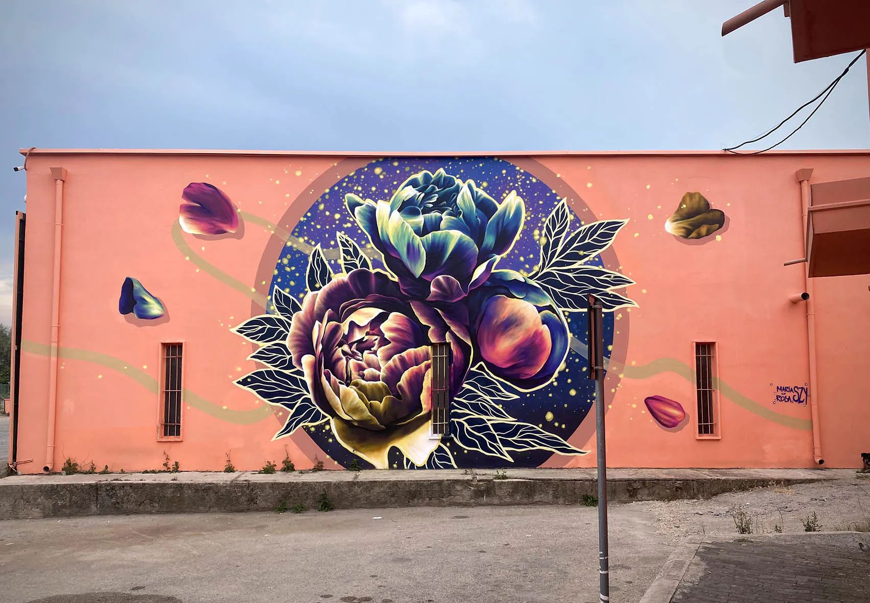 Maria-Rosa SZY 4 - Meeting of Styles: International Street Art & Graffiti small Maria Rosa SZY peonies of peace Albania