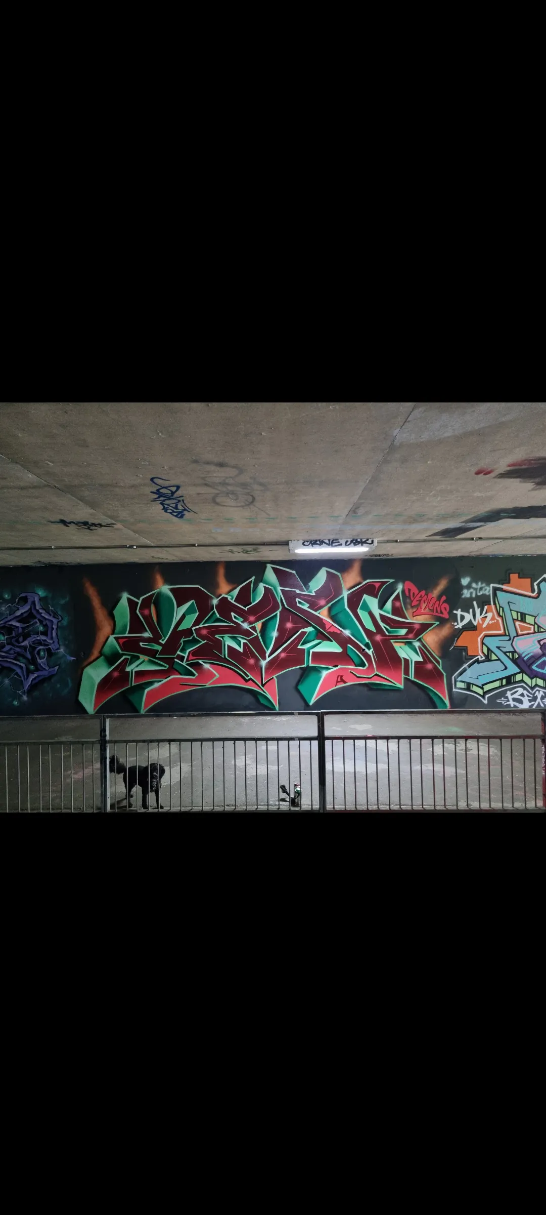 Kesp