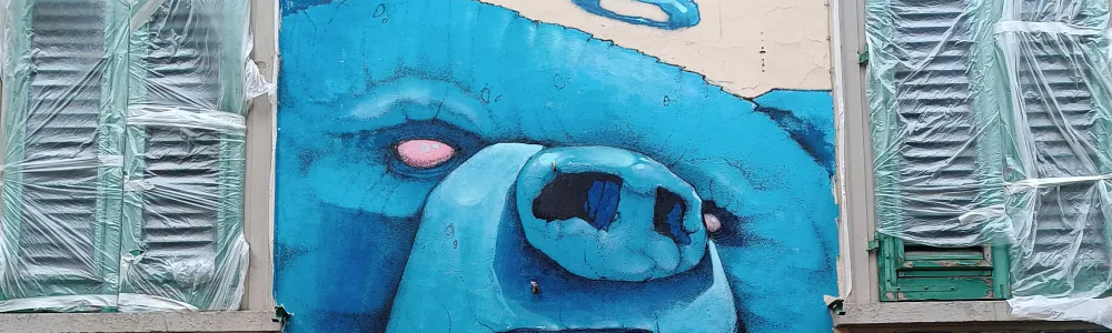 User banner image