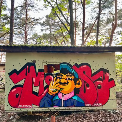Иллюстрация без названия - Meeting of Styles: International Street Art & Graffiti