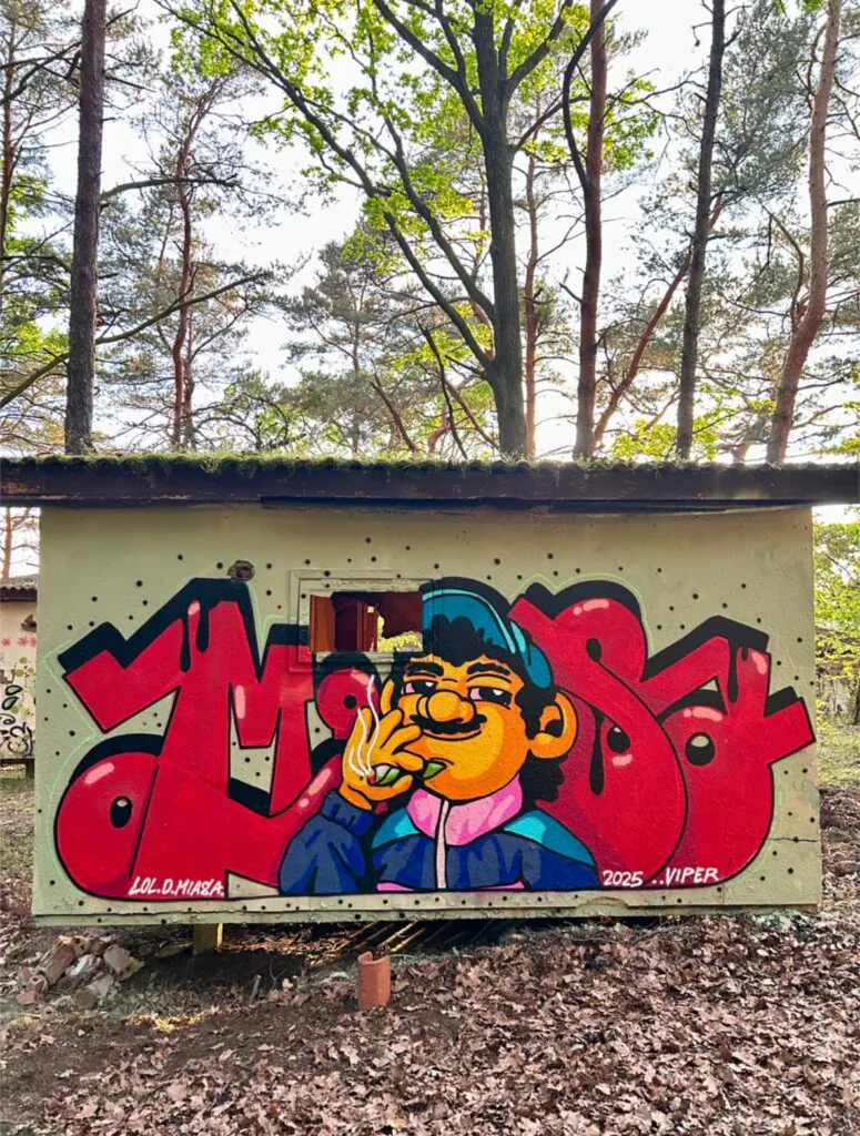 Иллюстрация без названия - Meeting of Styles: International Street Art & Graffiti