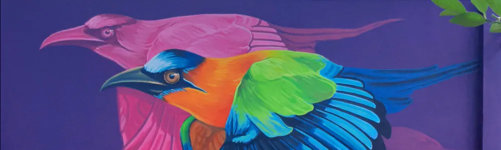 User banner image
