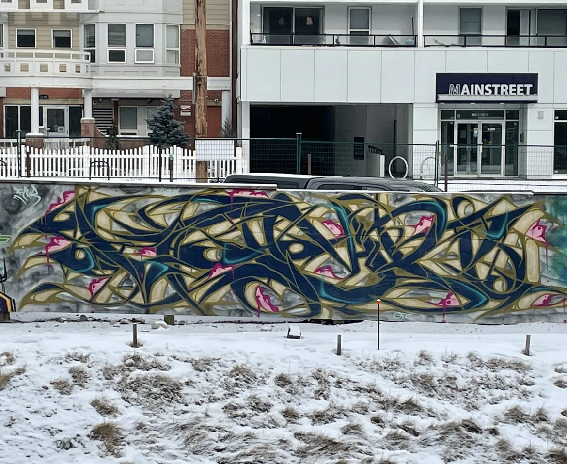 IMG 0967