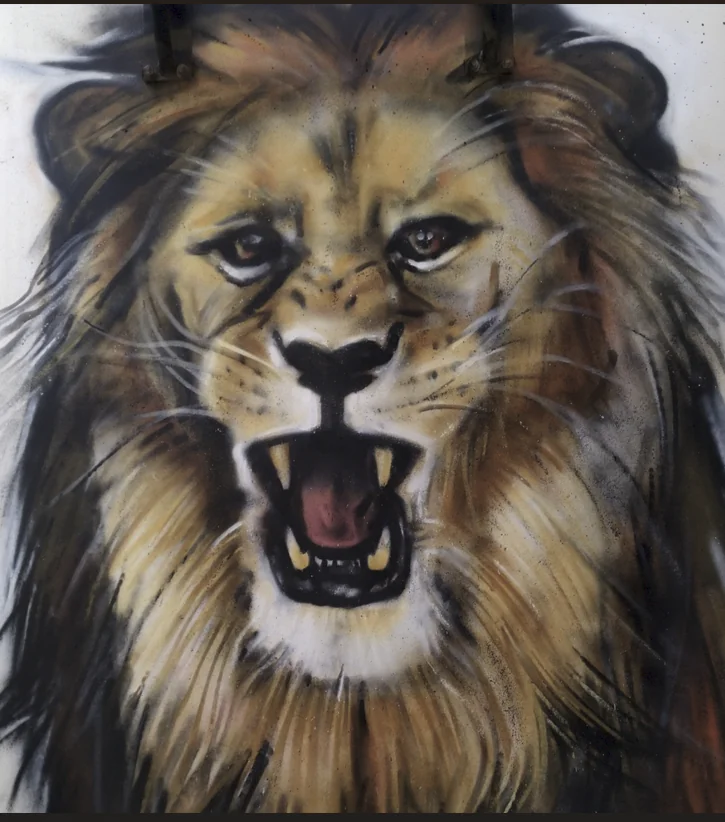 DREI TC 2 - Meeting of Styles: International Street Art & Graffiti Screenshot 2025 07 31 145133